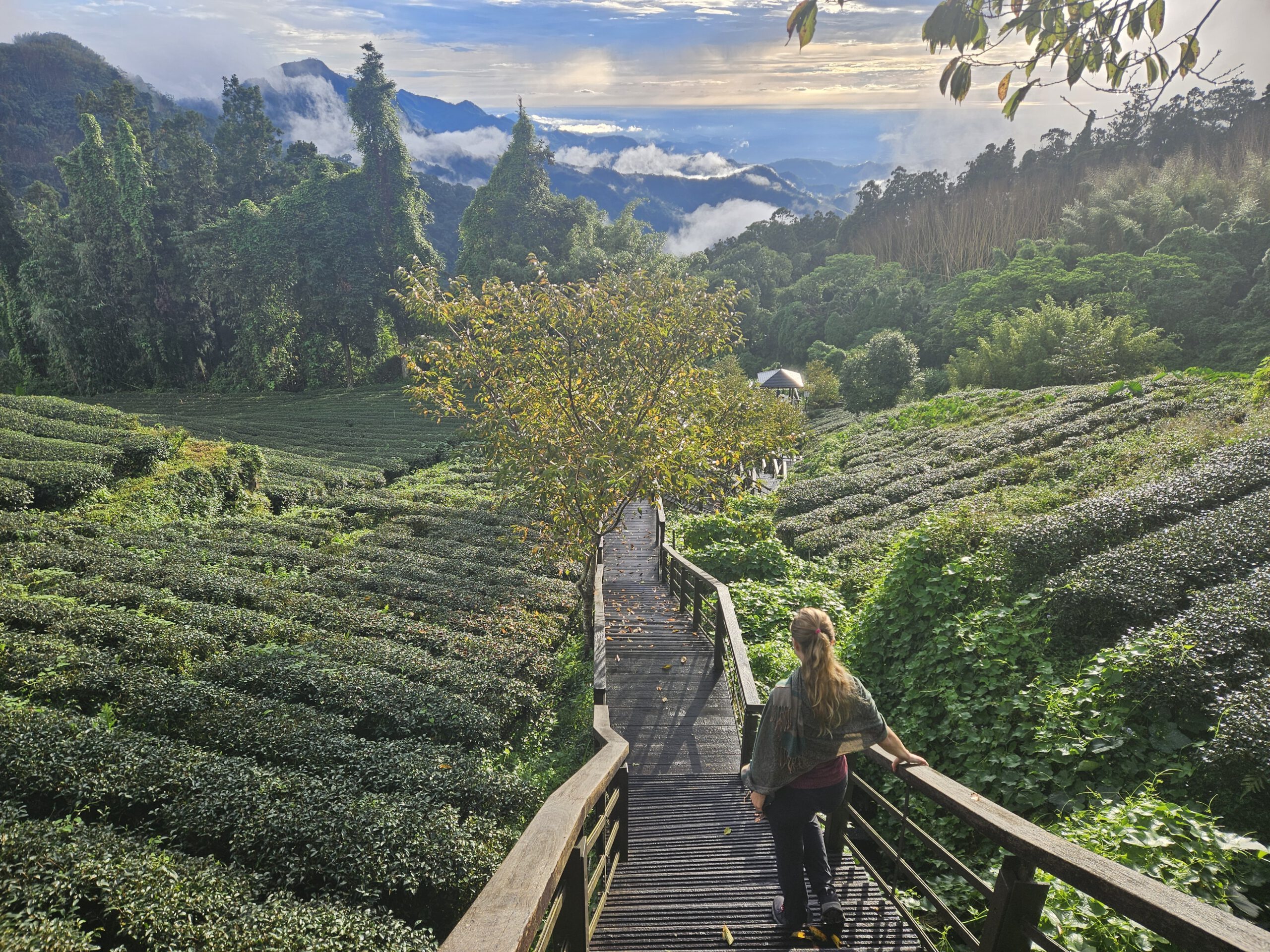 Letter 7 – Taiwan Westküste